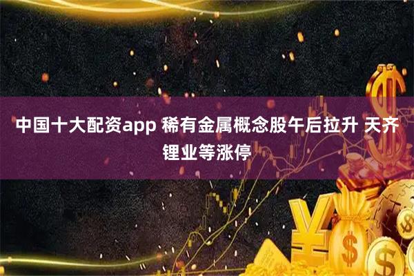 中国十大配资app 稀有金属概念股午后拉升 天齐锂业等涨停