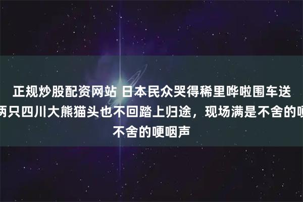 正规炒股配资网站 日本民众哭得稀里哗啦围车送别！两只四川大熊猫头也不回踏上归途，现场满是不舍的哽咽声